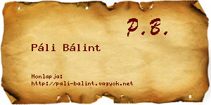 Páli Bálint névjegykártya